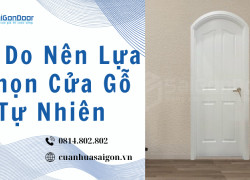 Lý Do Nên Lựa Chọn Cửa Gỗ Tự Nhiên 